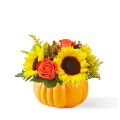 Pick of the Patch Bouquet from Victor Mathis Florist in Louisville, KY